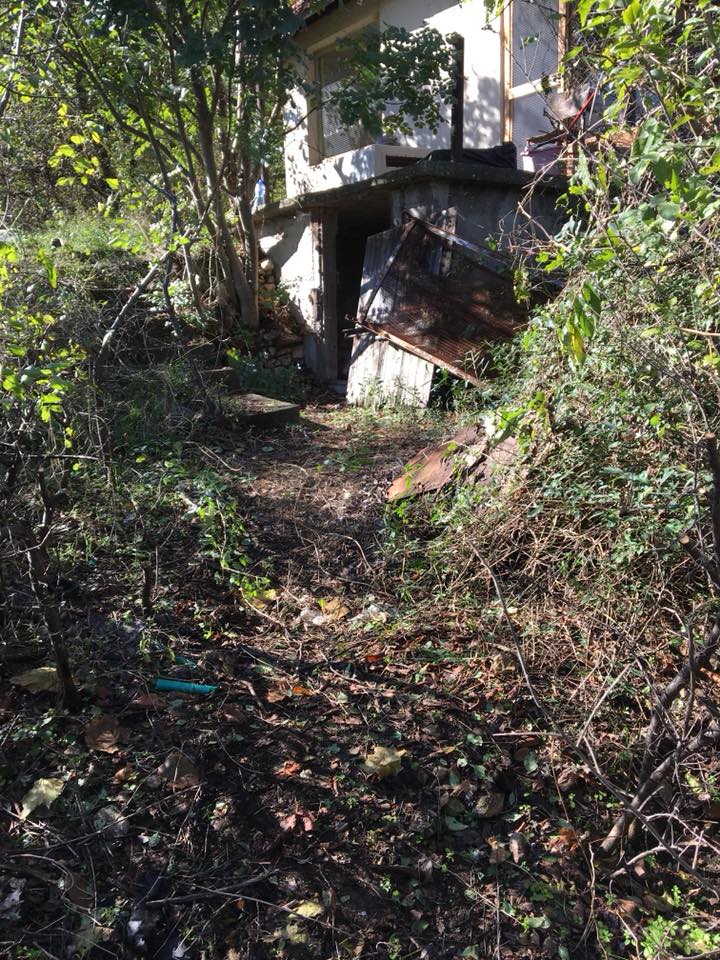 22780572_917349911753067_8529177258289630764_n