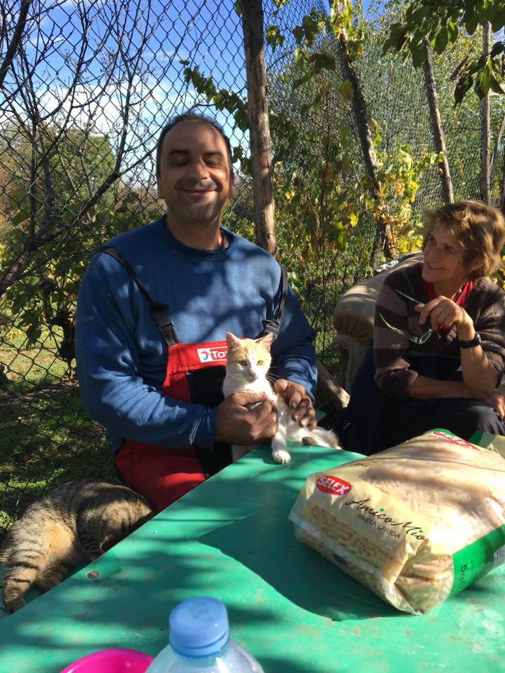 22853306_917482471739811_2622263737273491799_n