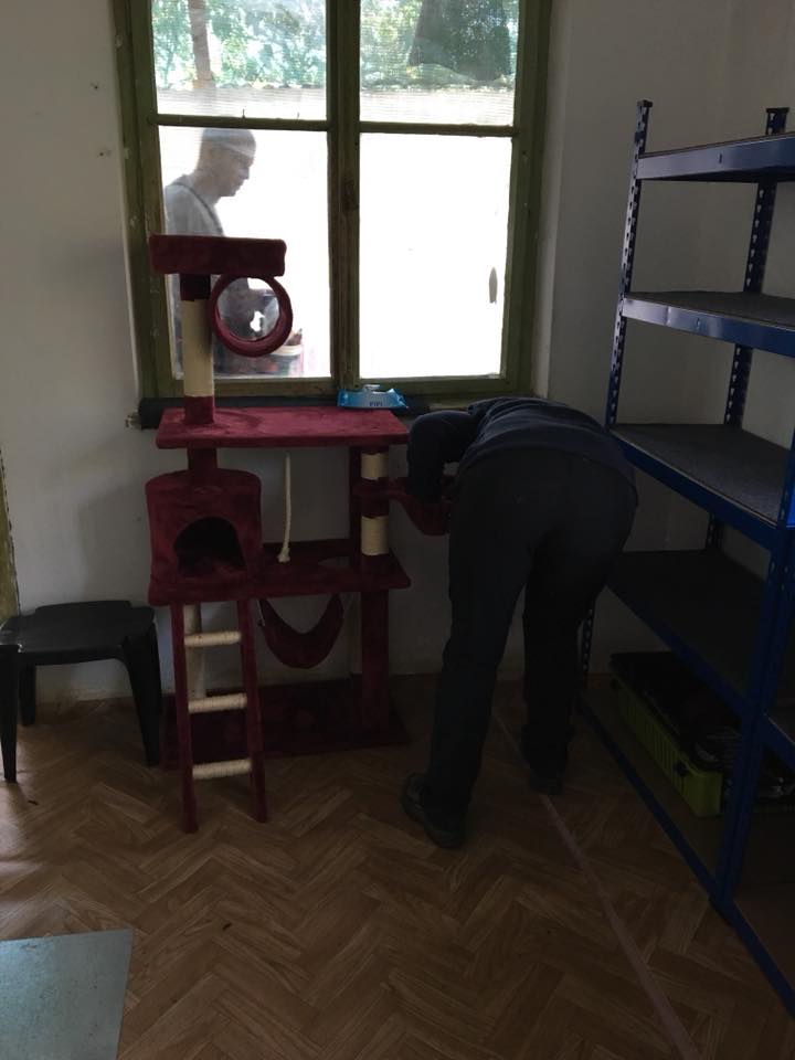 22853342_918267654994626_2396360713064470125_n