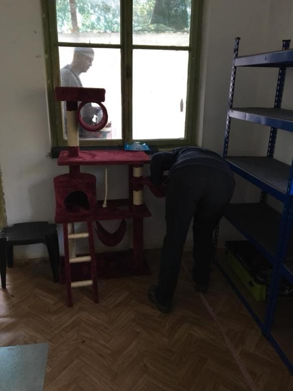 22853342_918267654994626_2396360713064470125_n