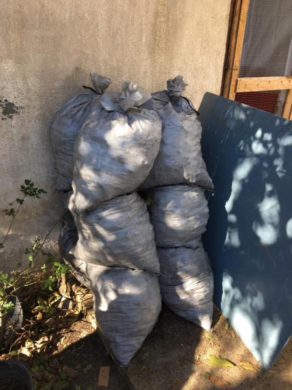 23032801_919462584875133_1332037257046462820_n